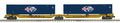 CMA 2-CAR SPINE CAR W/48' CONT