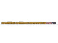 U.P. EXCURSION 21 INCH 4 PACK, 2 PACK & DINER (2327270,280,290)