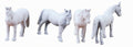 CIRCUS ANIMALS (4 HORSES)