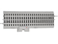 LION CHIEF  TERMINAL FASTRACK